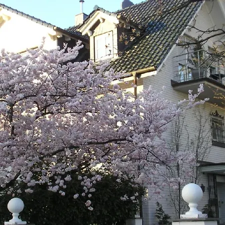 Maria Otis Apartment Dusseldorf